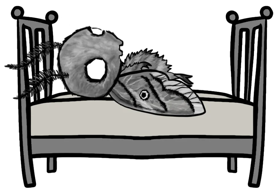 Motti liegt wach in ihrem Bett