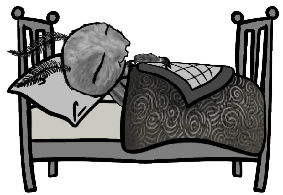 Motti schläft in ihrem Bett